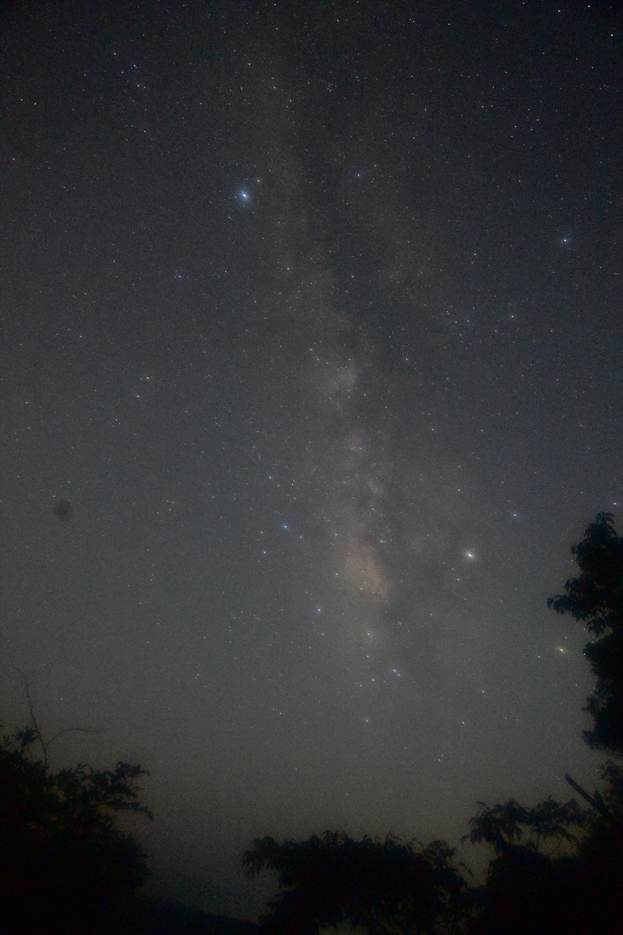 夏の天の川